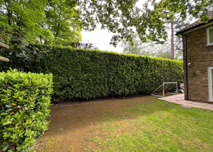 Garden maintenance Slough