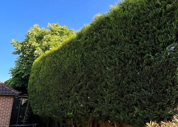 Garden maintenance Slough